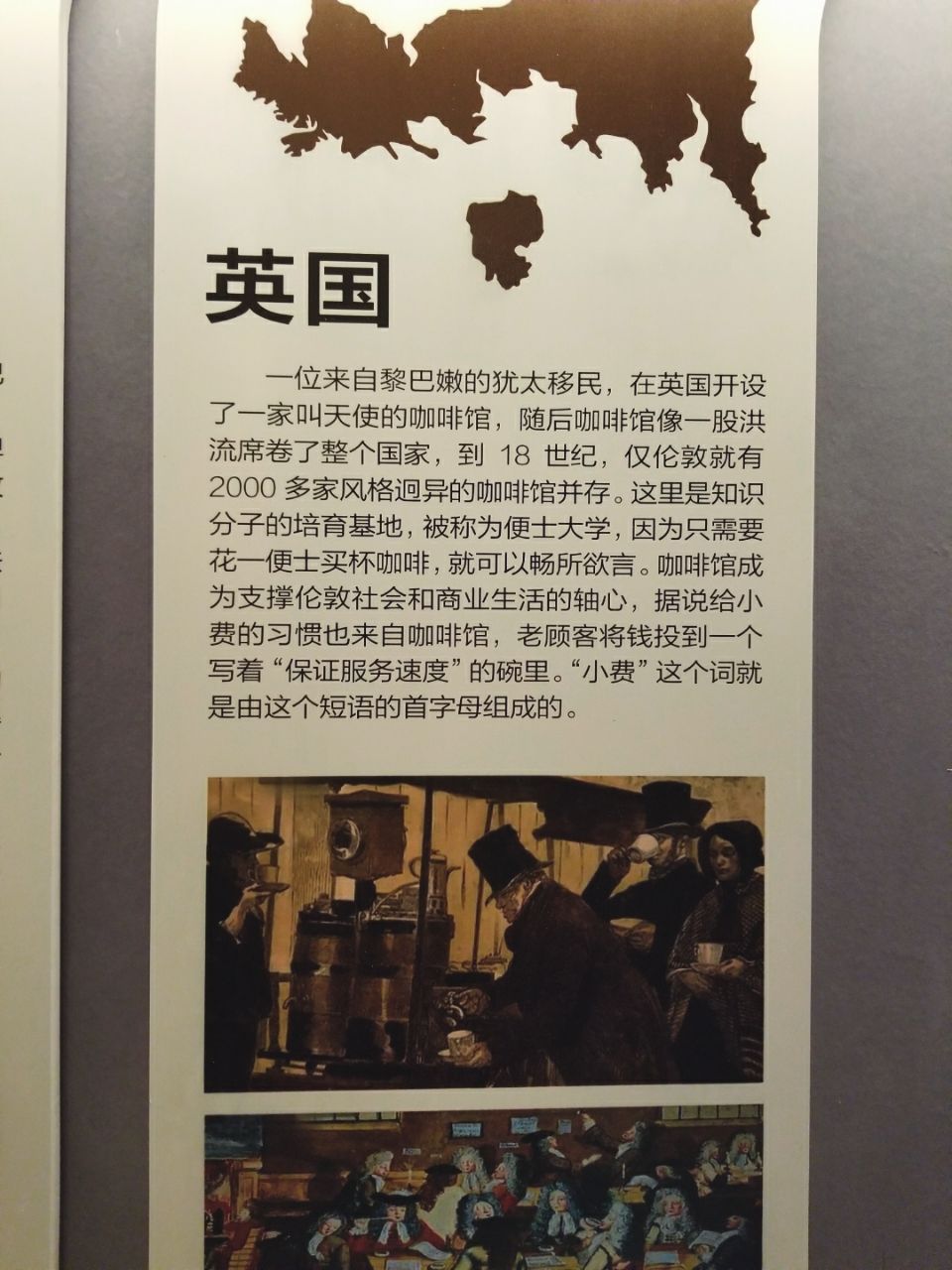 去云南适合买什么茶,云南最有名的咖啡在哪里