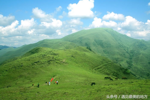 魅力中国城总决赛全集,魅力中国城第一季韩城