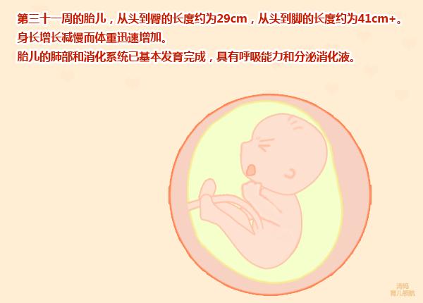 孕八个月胎动减少变弱,怀孕八个月胎动变少了怎么回事