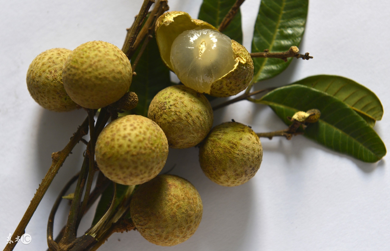 常吃7种食物让胃更健康,常吃什么养胃护胃