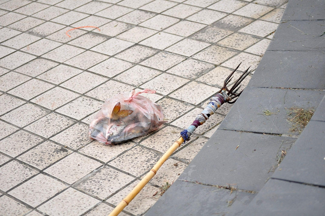 汛期到来时的捕鱼技巧,冬天捕鱼技巧大全