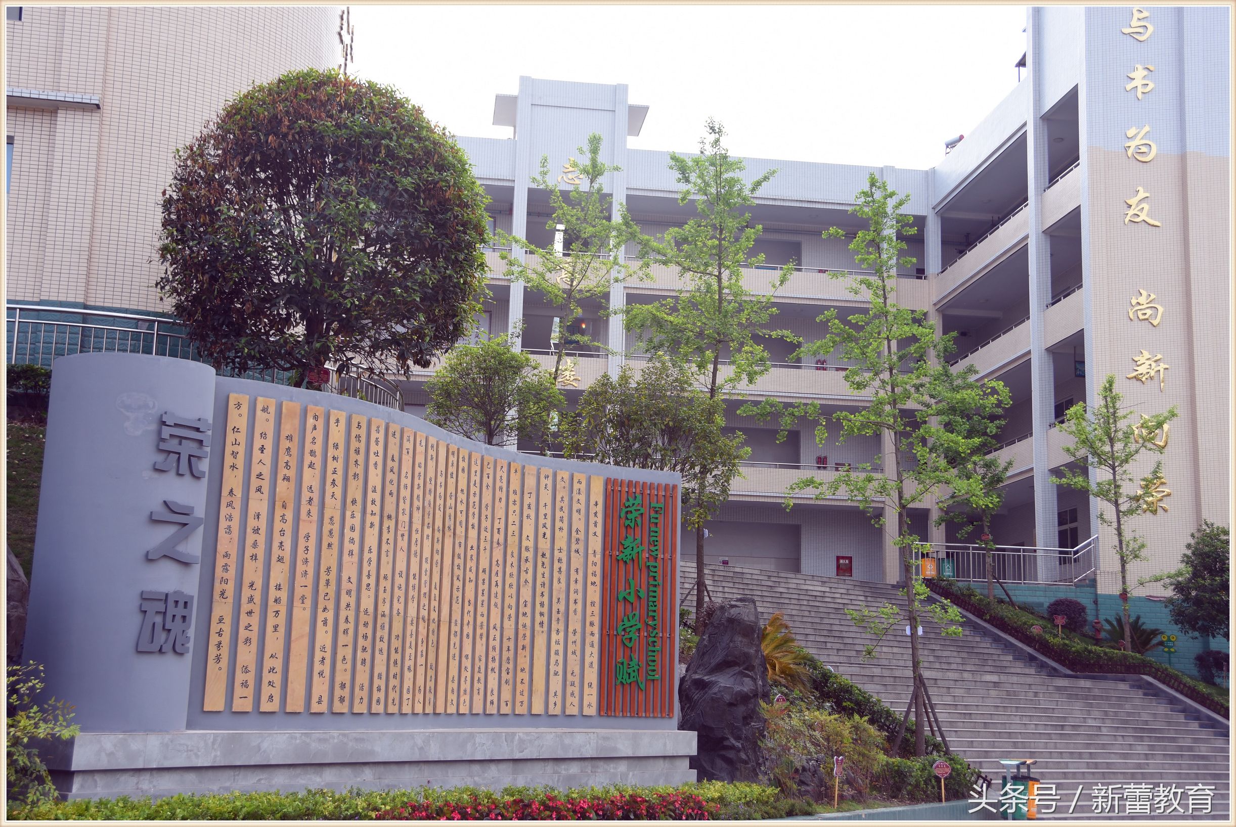 写身边的环境50字,描写学校运动场的作文