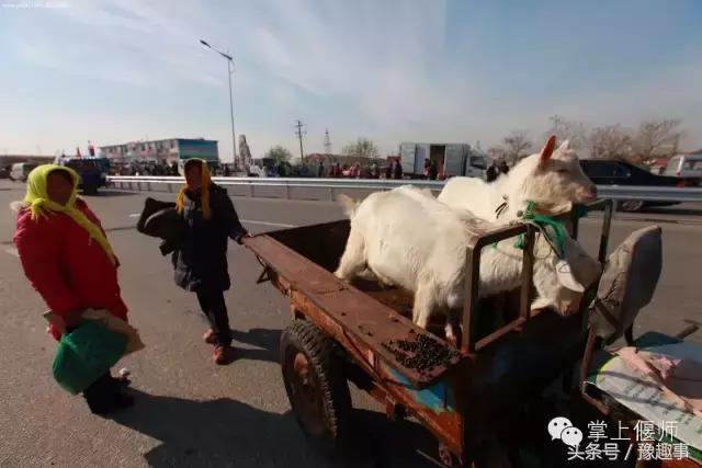 偃师最新赶会时间是农历还是阳历,偃师最新赶会时间表