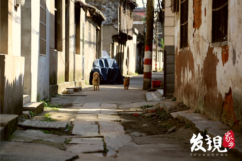 还没有爱上春江，那是因为你没来过这些地方