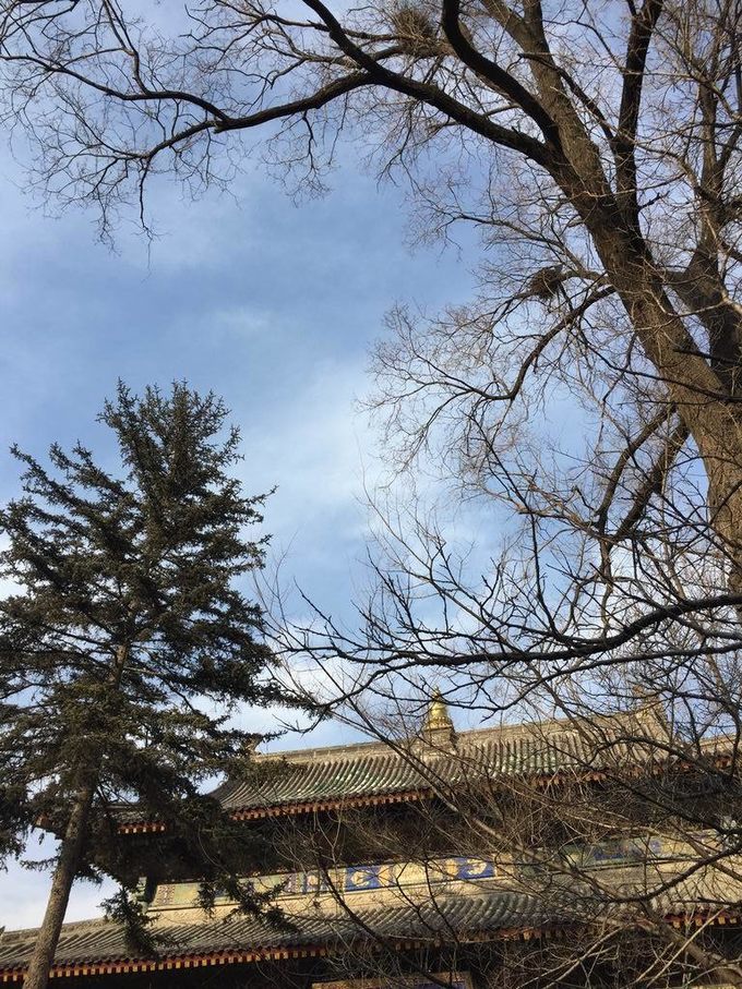 徒步五台山详细攻略,徒步五台山涤荡心灵之旅