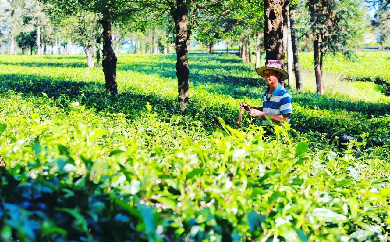 面对人生的风景句子,人生的风景由你自己决定