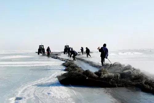 这个元旦，我要从南走到北，看看这大大的中国！