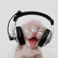 有线耳机的正确保养方法,高端耳机的使用寿命