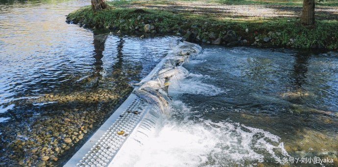 维多利亚水廊旅游,加拿大旅行景点