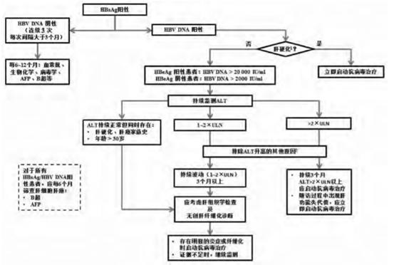 乙肝最新药物研究新进展,治疗乙肝的最新药物价格