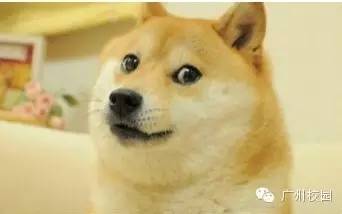 最受异性欢迎的身高排行,女生最受异性欢迎身高