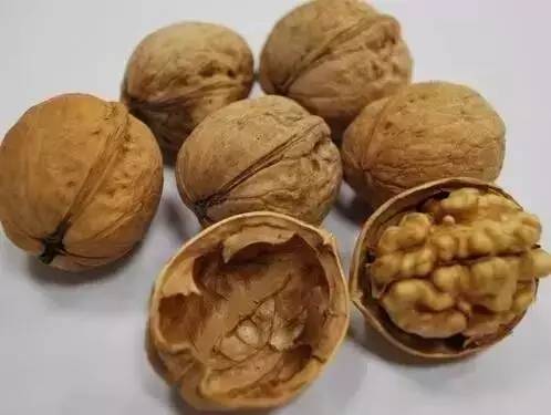 有哪些农业致富好项目值得推荐,农业种植致富项目100例