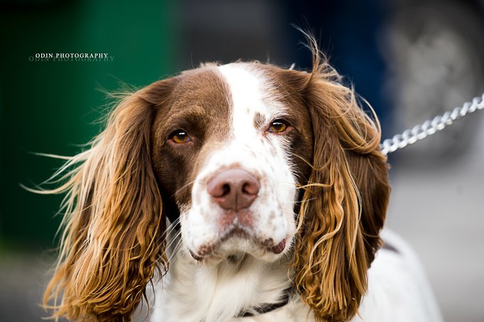 从现实穿越到异世界,穿越英国之旅
