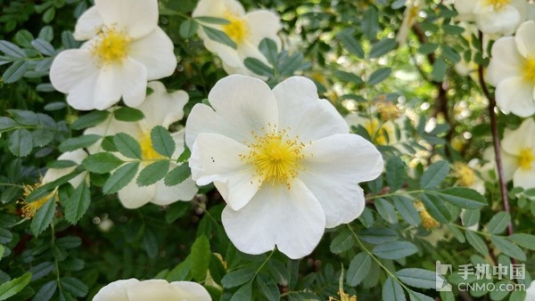 lgg5处理器好用吗,LGg5参数