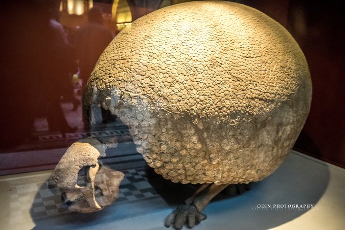 从现实穿越到异世界,穿越英国之旅