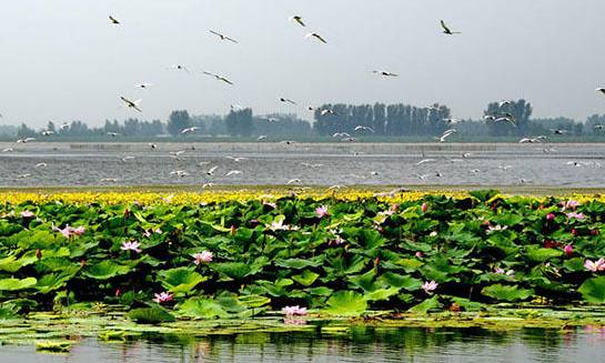 沈阳最漂亮的十大美人,沈阳女孩最漂亮的照片