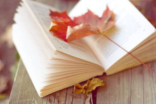 歌曲你让我感动歌词,曾让你感动的人是哪首歌的歌词