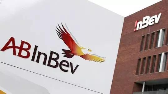 熊猫精酿和福佳白哪个好喝,福佳白精酿白啤口感怎么样