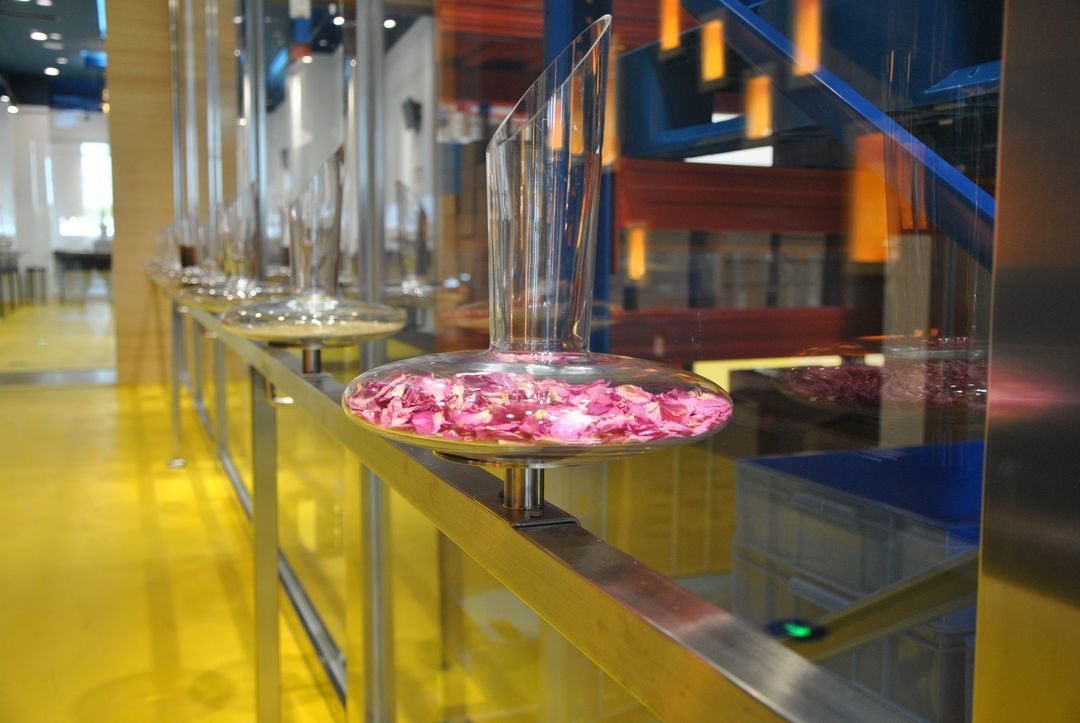 鐩樼偣閭ｄ簺缃戠孩宸у厠鍔涢鍊艰秴楂樼殑,楂橀鍊肩綉绾㈠阀鍏嬪姏