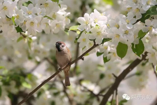 包钢三中真的要改名吗,包钢三中整体成绩怎么样