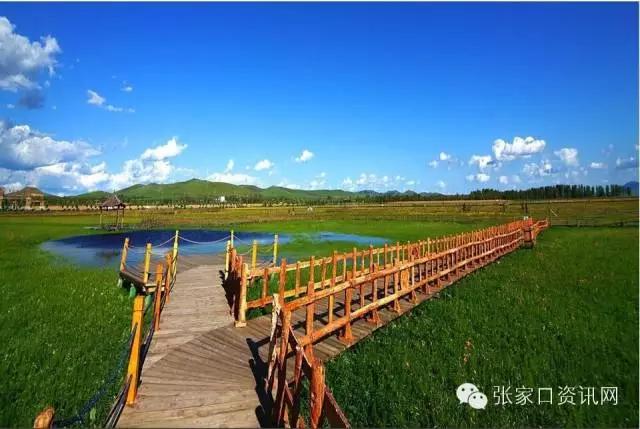 对不起，五一我就呆在张家口！别再约我了！