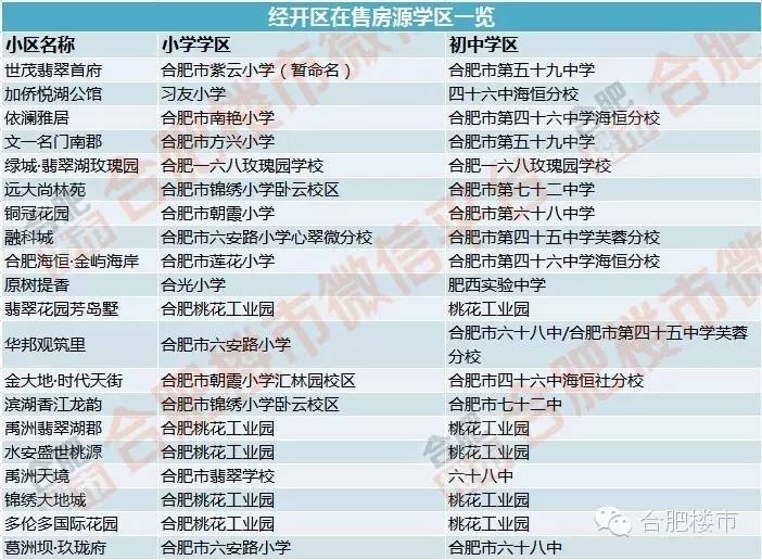 合肥2021学区房规划,合肥24年最新楼盘