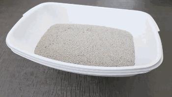 猫奴福音,猫奴拯救猫咪