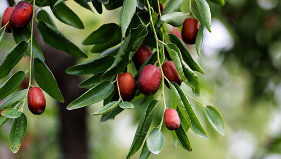 在德州，你可以不买，但是你不可以不知道！