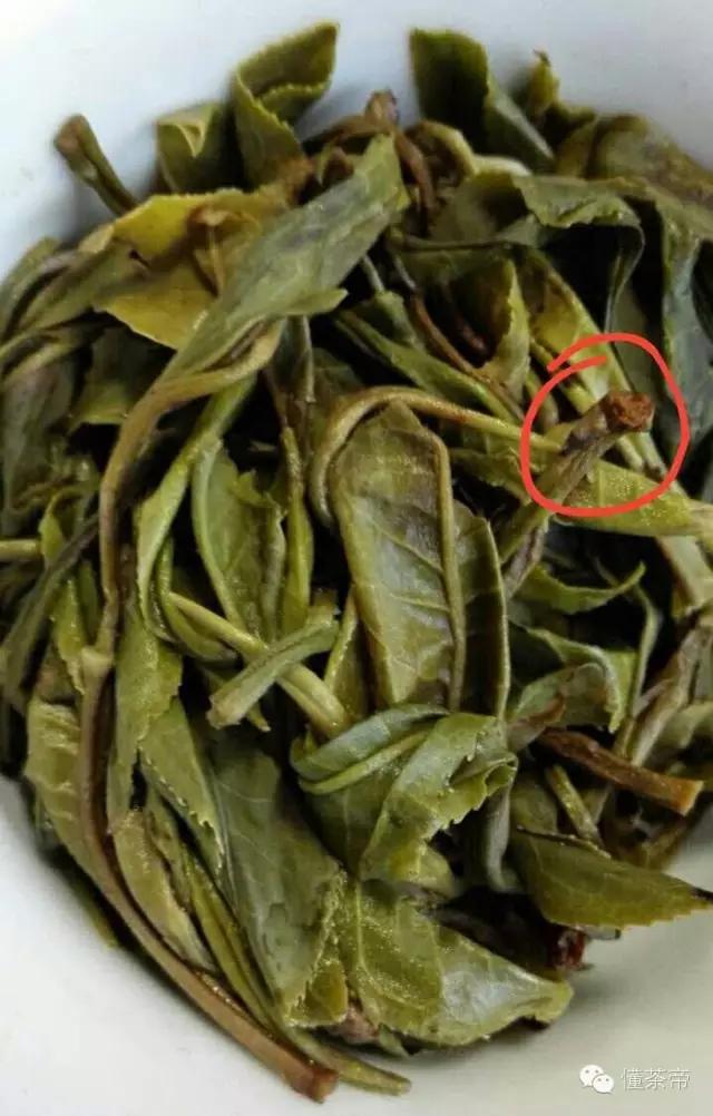 易武普洱茶特点和口感,易武普洱茶常识15条