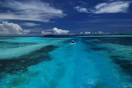 帕劳旅游报价携程,帕劳深度旅游攻略