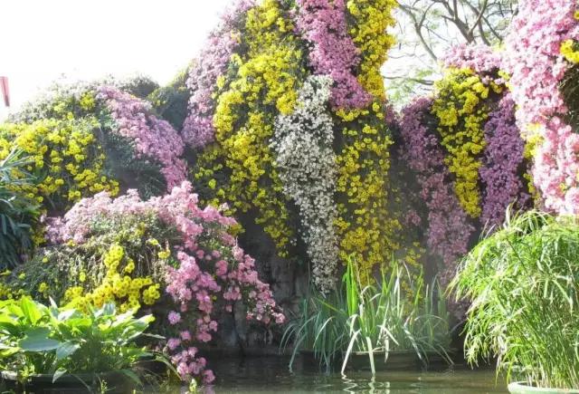 深圳最美的看海公园,深圳最美湖泊公园