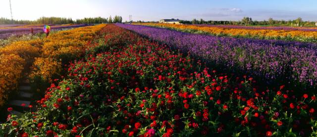 「焦点」中卫这个地方的蓝天碧水美出了新高度，比这更美的还有……