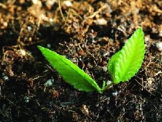 化工厂上建设住宅的危害,化工厂原址建楼盘有危害吗