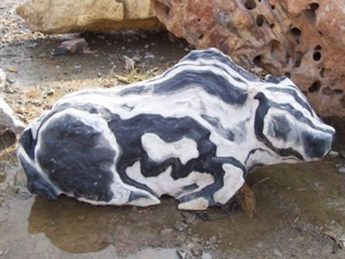 真正的奇石一般在哪里,真正的奇石是怎么样的