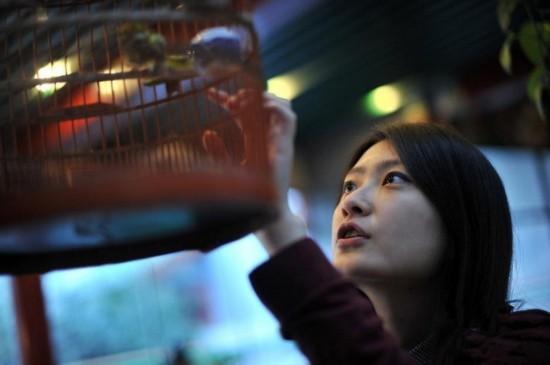 酒店试睡员适合干什么,如何成为一名酒店试睡员