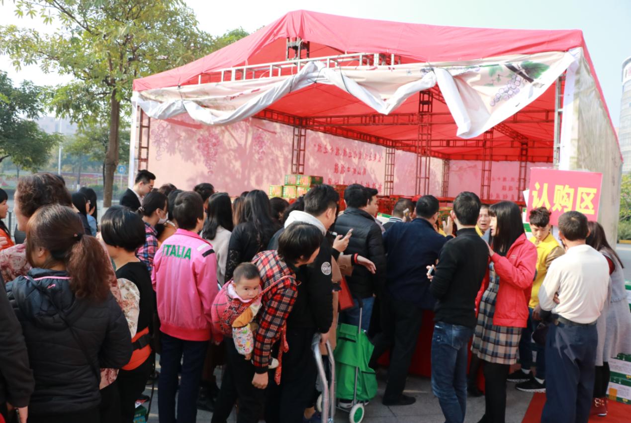 疆鲜新疆特产,疆新诚新疆特产