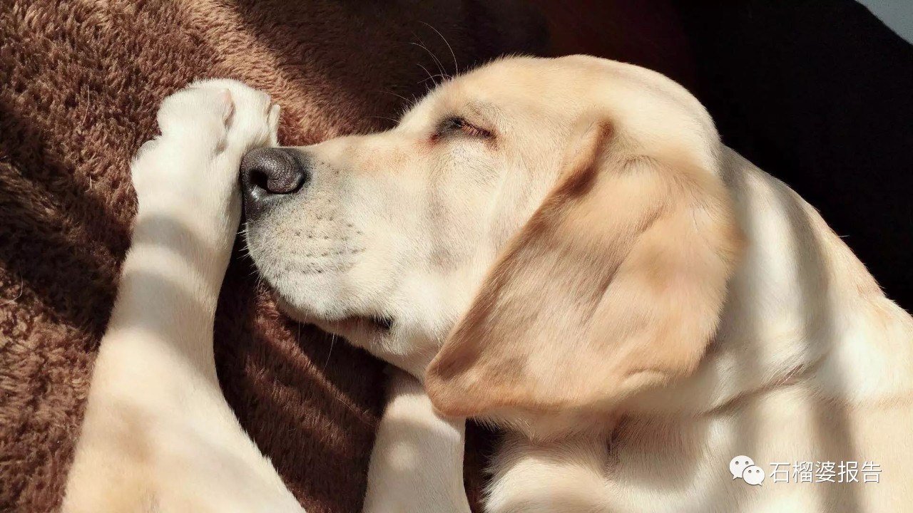 未来十年最好的一笔投资,个人十年最具潜力的投资