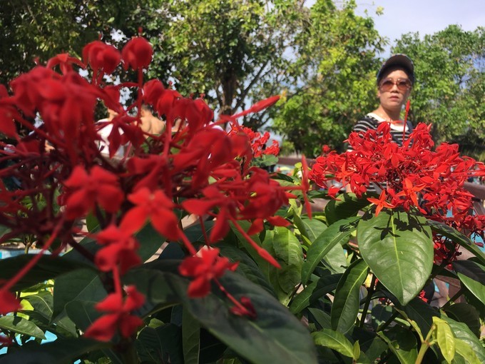 一个人越南攻略,一个人越南自驾游纪录片