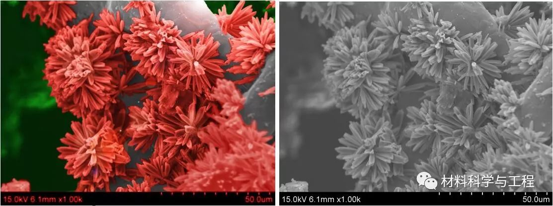 投票表决素材模板,投票素材图片图文