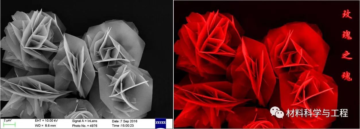 投票表决素材模板,投票素材图片图文