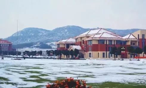 神一样的学校高考和中考都很惊艳,神一样的学校