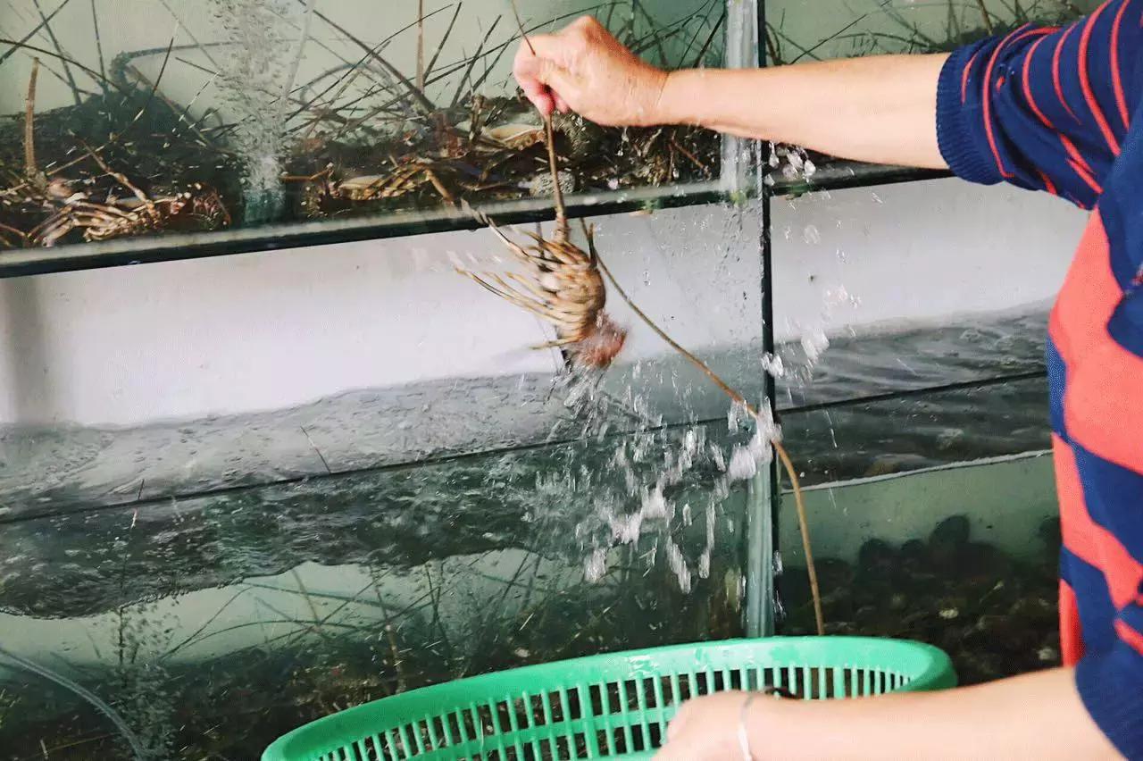 厦门哪里的沙茶面最好吃最正宗,在厦门吃的最好的一次