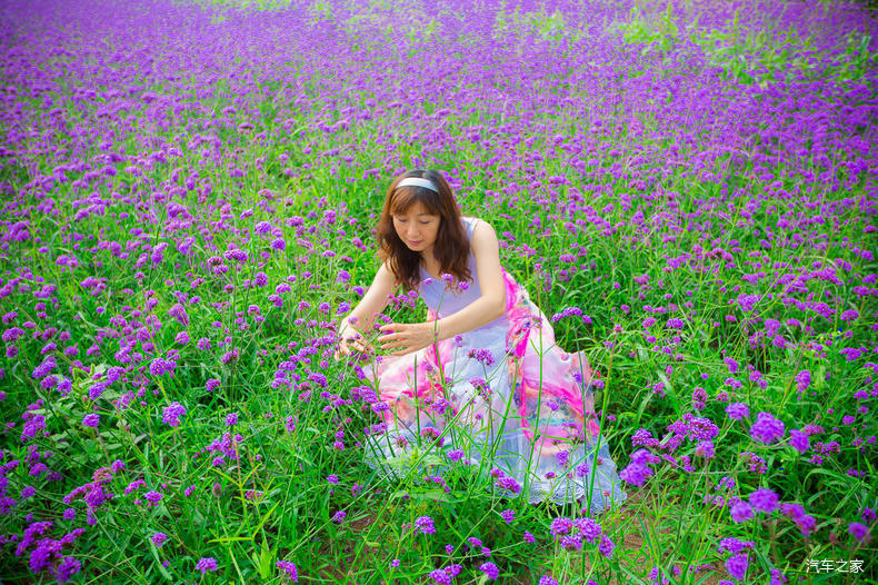 家乡之美美篇,家乡之美原唱完整版