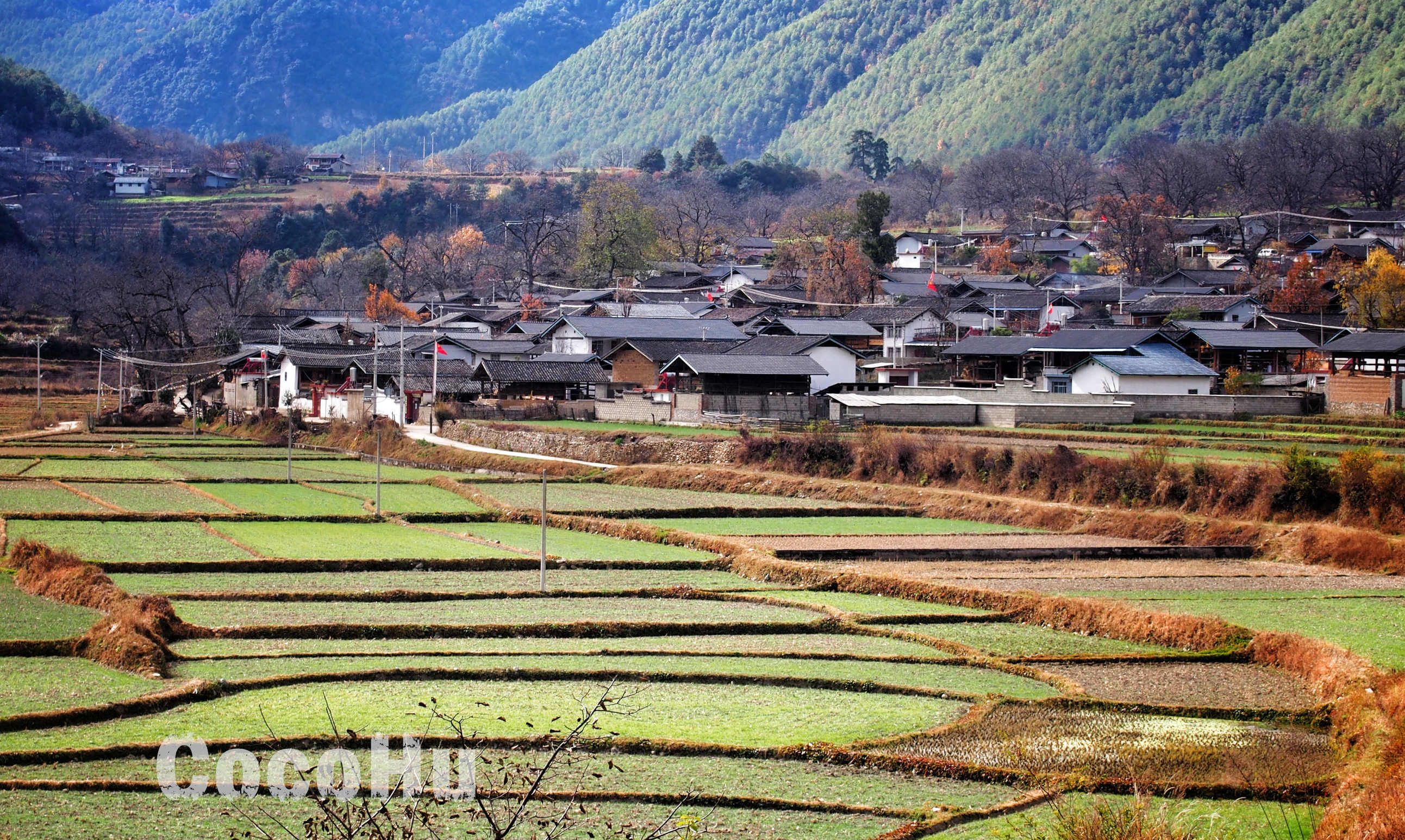 欢歌热舞美食美酒亲历云南维西丰收节