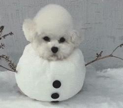 atm取款用手遮挡什么梗 (atm提款有必要遮挡吗)