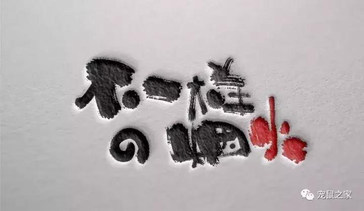 怎么养出亲人的荷兰猪,怎么样才能养出乖的荷兰猪