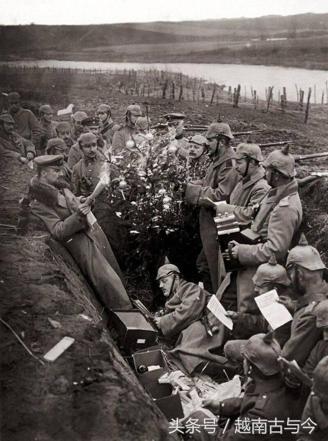 一战中圣诞节停战,一战交战双方