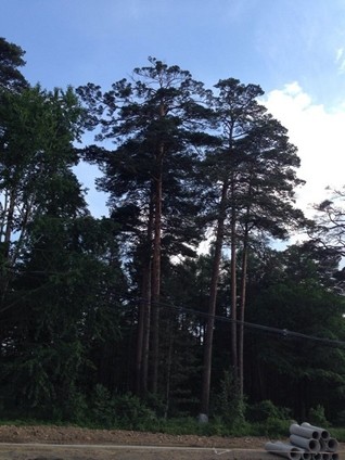 毕业旅行致青春,毕业旅行之深圳