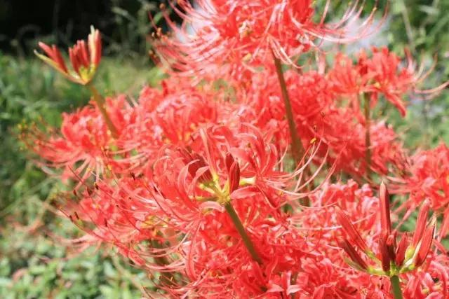 去玩有必要做攻略吗,去玩是逃避问题吗