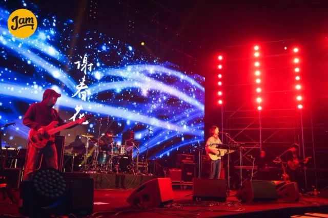 谢春花小吉他,谢春花节目里用的什么吉他